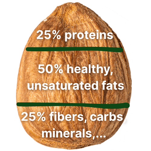 Apricot Kernel: 25% protein, 50% fat, 25% fiber, carbs
